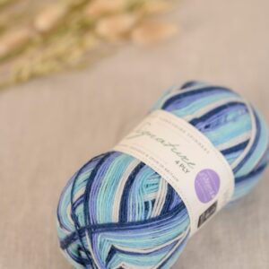 wys-signature-4ply-878-winter-icicle-baa-5