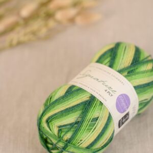 wys-signature-4ply-882-spring-green-baa-1